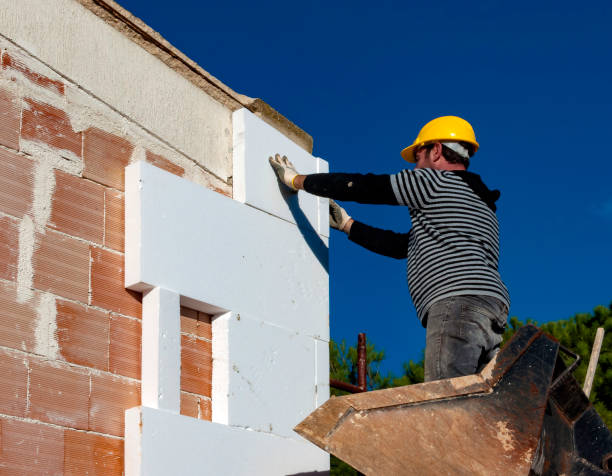Best Insulation Removal Services  in Paddock Lake, WI