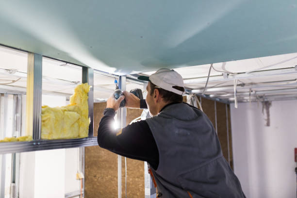 Best Soundproof Insulation Installation  in Paddock Lake, WI