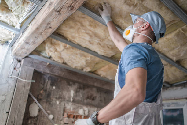 Attic Insulation Near Me in Paddock Lake, WI