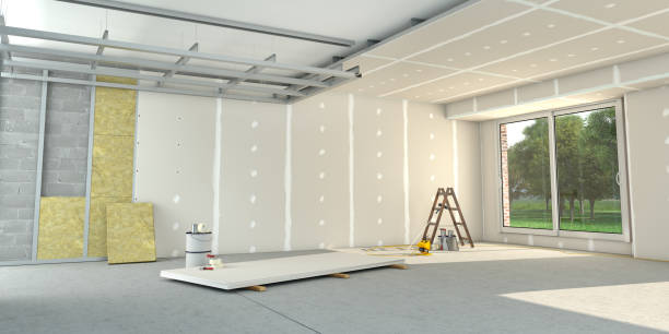 Best Wall Insulation Contractor  in Paddock Lake, WI