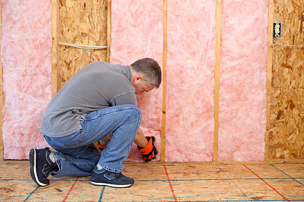 Best Home Insulation Services  in Paddock Lake, WI