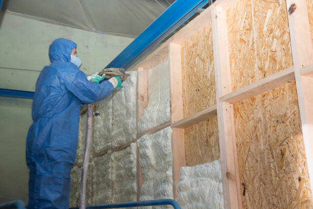 Range of Insulation Solutions in Paddock Lake, WI