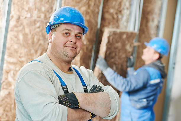 Best Professional Insulation Contractor  in Paddock Lake, WI