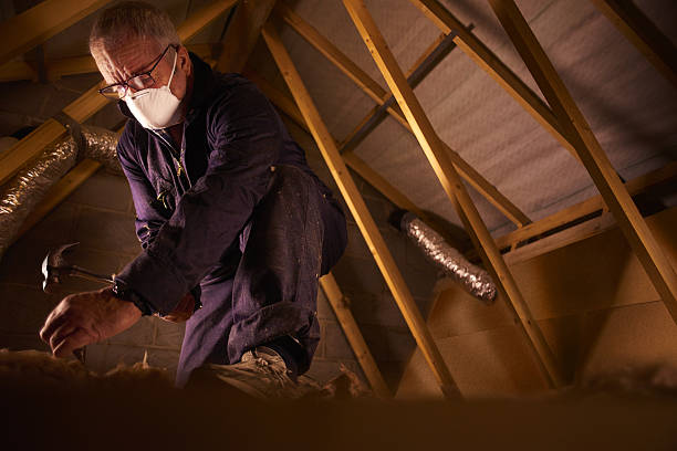 Best Insulation Repair Services  in Paddock Lake, WI